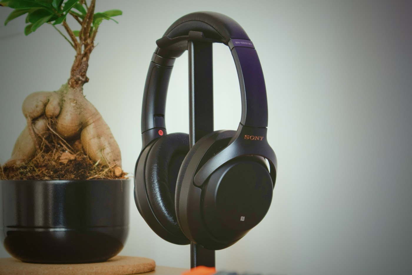 Bose / Sony NC