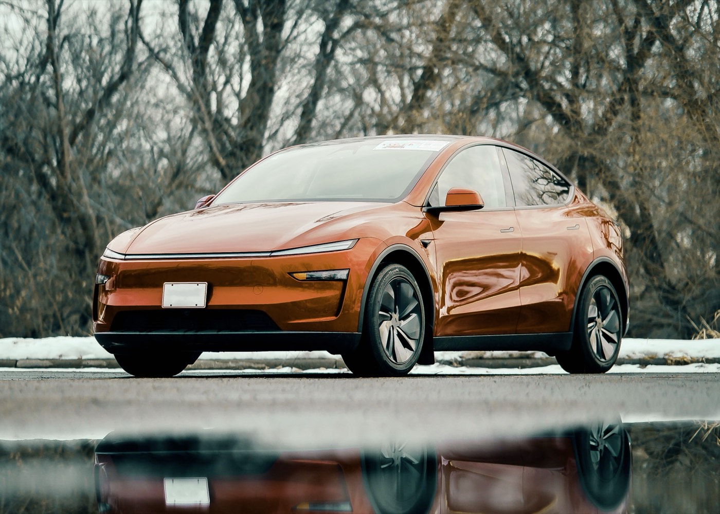 Tesla · 1 Jahr